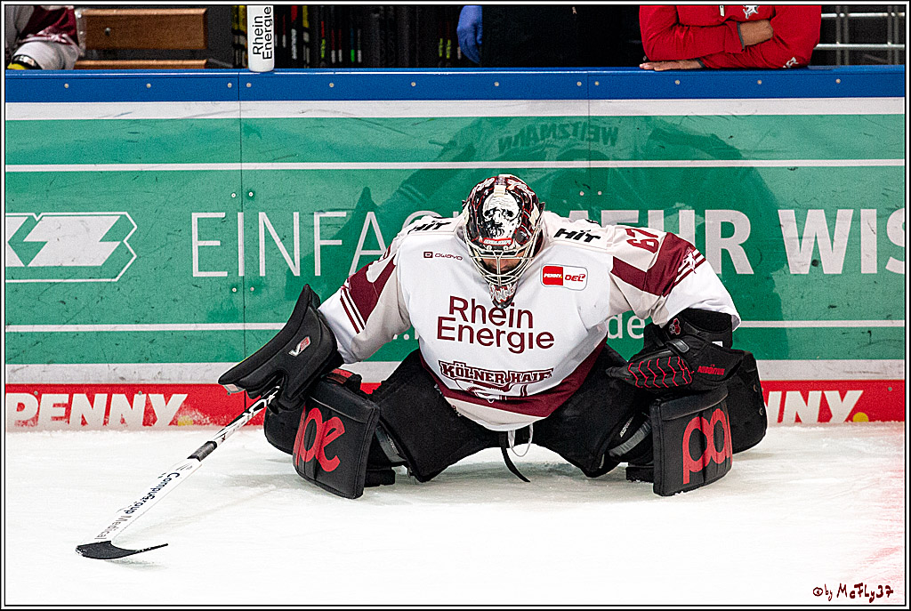 PENNY DEL;  Iserlohn Roosters - Koelner Haie; Iserlohn, 13.01.2021